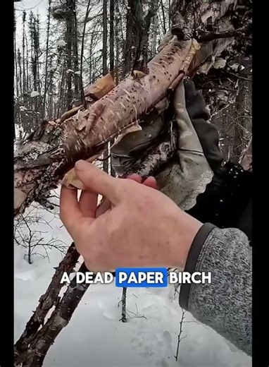 If you’re stranded in the woods ￼