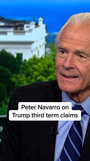 The Beat with Ari Melber 📺 on Instagram: "Peter Navarro on President Trump’s illegal third term claims. Full interview on YouTube at MSNBC.com/ari 📺"