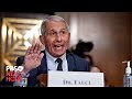 WATCH LIVE: Fauci testifies on COVID-19 response in Senate hearing