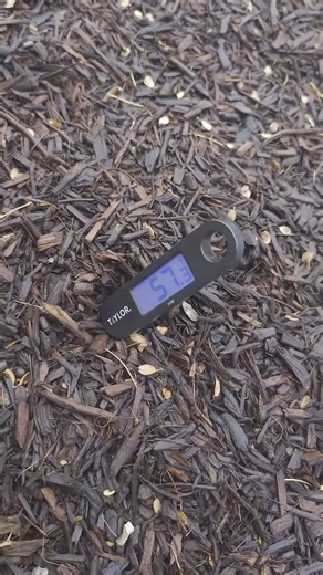 Is it too cold for worms? | Las Vegas Worm Farm