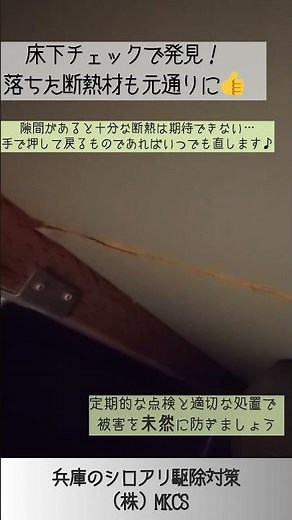 床下チェックで発見 兵庫のシロアリ駆除と対策