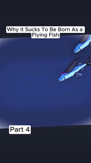 The Challenges of Being a Flying Fish