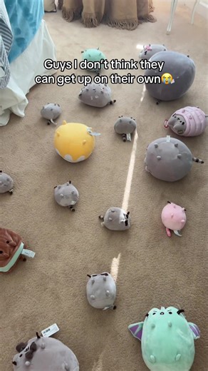 Uh oh #pusheen #plush #plushies #kawaii #kitty | plushie