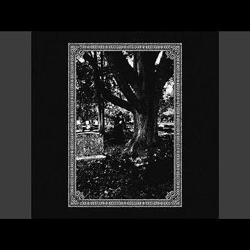 A Vile Presence from the Velvet Crypt