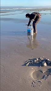 Razor Clamming Seaside Oregon #clamming #catchandcook #outdoors #shellfish #seasfood