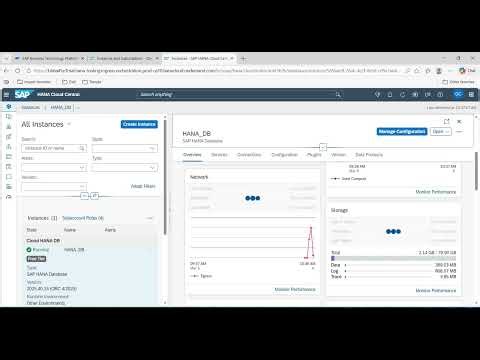 Video 4: BTP - SAP Cloud HANA DB