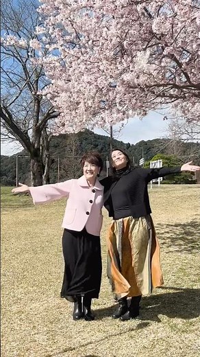 鹿児島を訪れた #川中美幸 の目の前に広がるのは満開の #暖流桜 🌸お隣は作詞家の京えりこ先生です♬新曲「暖流桜」を聴きながら春の訪れを感じてください🌟#テイチク #演歌 #新曲 #鹿児島