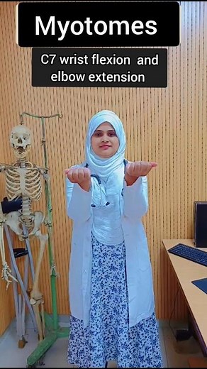 cervical myotomes | easy way to learn myotomes #physiotherapy #myotomes #cervicalmyelopathy #shorts