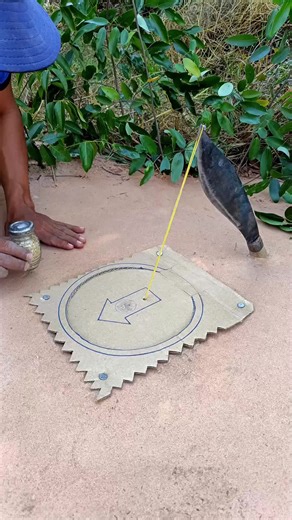 Create Your Own DIY Quail Trap at Home