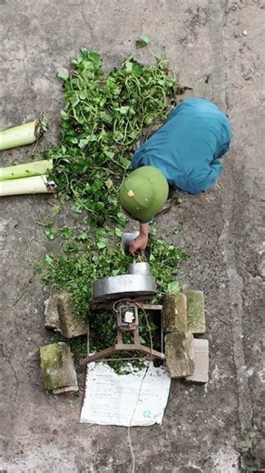 ASMR Farm Life - Making a Jungle Smoothie for our Flock