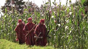 Video Clip “El Alba” Música Maya Aj’ #Comparte #Guatemala100%Chapín | Edgar Gt