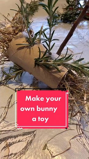 Misty & co. on TikTok