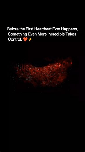 MedTech Matrix on Instagram: "Before Your Heart Ever Beat Once, Thousands of Cells Made a Silent Decision That Still Controls You Today.” Before a heart ever beats, life organizes itself in complete silence. Scientists have captured the exact moment when cardiac cells begin acting as one — seconds before the very first heartbeat exists. No heart chamber. No pumping. No pulse. Instead, thousands of individual cells synchronize their electrical signals, creating a wave of energy that triggers the