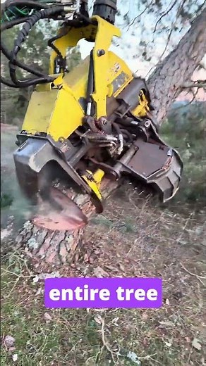 Machine Eats Trees in Seconds