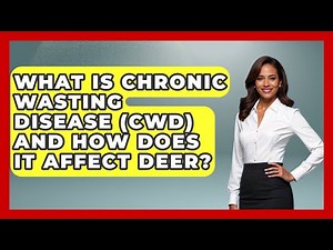 What Is Chronic Wasting Disease (CWD) And How Does It Affect Deer? - The Marksman's Journal