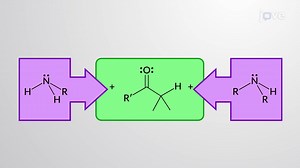 视频: 醛和酮与胺:亚胺和烯胺的形成概述