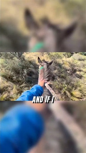 How to Control a Horse with One Hand! 🐎 #horseriding #shorts #skills