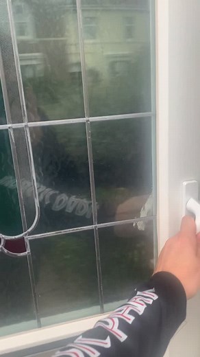 33K views · 20K reactions | Dinosaurs invade my home whenever I run out of space in the studio. My family are so used to it藍 #jurassicpark #jurassicworld #dinosaur #fossil #museum #velociraptor #tyrannosaurusrex #trex #raptor #reptiles #taxidermy #paleontology #paleontologist #taxidermist #art #design #sculpture #sculptor #designer #3d #homedecor #homereno #devoration #homeideas #hallway #hallwaydecor | Dinosaur Skeletons | Facebook