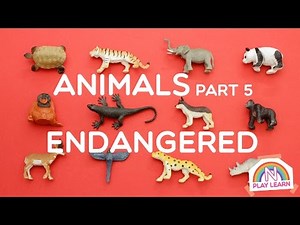 Learning Animals Names and Sounds for Kids - Part 5: Endangered Species