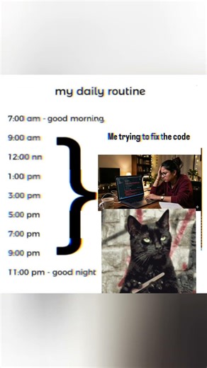 Developer's life 🥹🥹... #viral #memes #shorts #coding #relatable #developer #developerlife #viral