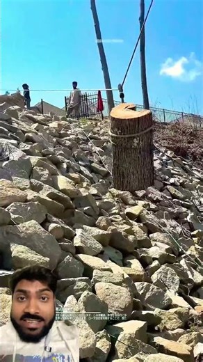 Tree logs transport through ropes on mountains #shortsvideo #inventiontech #cuttingskills t#shorts