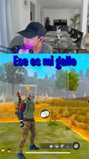 MI GALLO TOMA VENGANZA EN PVP APOSTADO