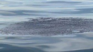 Coast Guard calls California oil spill ‘major marine casualty’