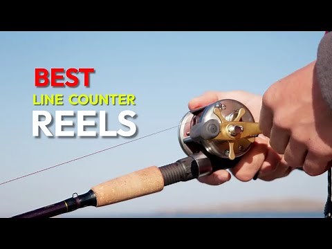 Best Line Counter Reels Reviewed In 2022 - Precision Trolling