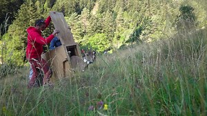 Hit FM Radio on Reels