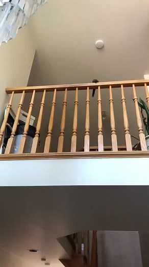 Bird_Tails on TikTok