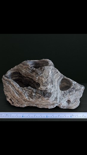 🔴 SOLD 🪨 🌵Thankful to get each of this latest batch of ready-to-plant rock planters shipped out this week! | Plants In Rocks