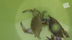 Nope nope nope nope nope nope | This is Happening