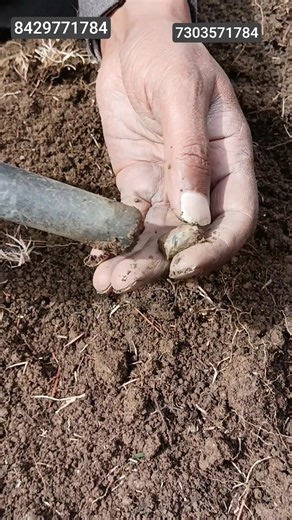 Object Finding Pinpointer #objectfindingpinpointer #metaldetecting #shortsfeed