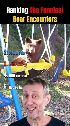 BEARS ARE BASICALLY BIG DOGS🐻