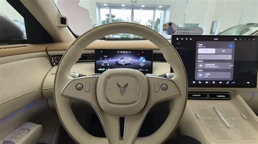 free+的安全体现在细节处free+新增了有驾驶员检测摄像和后排检测摄像头，可以对驾驶员在开车过程中是否分心或者疲劳驾驶进行检测，也可以看到对后排坐着的宝宝