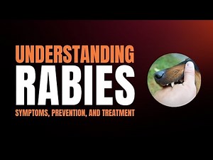 How to Survive Rabies? | Rabies: Symptoms, Treatment, Causes, and How It Affects Humans?