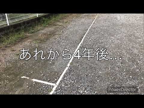 ブーブーライン TLZ-BL0550to【看板ショップ】