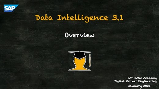 Data Intelligence 1 of 21 ; Overview