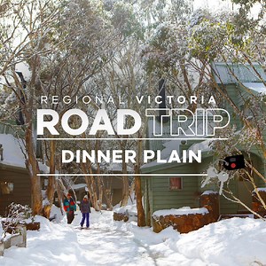 27K views · 743 reactions | Welcome to Dinner Plain, where nature's playground is at your doorstep. | Visit Melbourne | Facebook