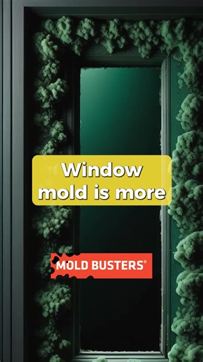 Mold Busters on TikTok