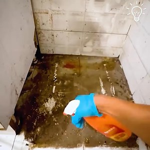 This house was so dirty 🤢 | Dr Shauwn Mkhize - Mamkhize