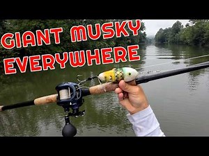 The Most EPIC Musky Fishing Day I've EVER Had!!! EVERY Fish Was A Monster!