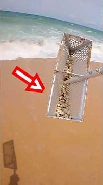 How to catch Sandfleas by the beach #bait #sandflea #surffishing