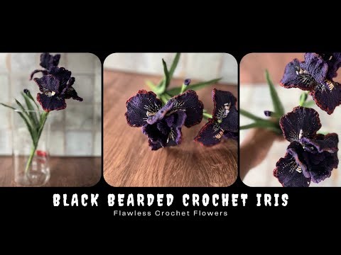 A Little Bit of Black Crochet Magic | The Black Bearded Iris Assembly