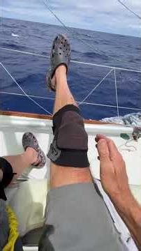 Day 6 of the 2025 Singlehanded TransPac hanging out at the bow #oceanracing #sailing #offshoreracing