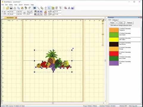How to view objects in Embrilliance Essentials