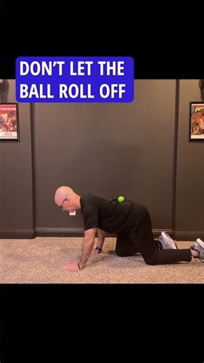 Crawl With Control: Ball Core Stability Challenge