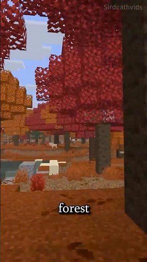 NEW Update Name Revealed!