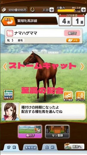 ダービースタリオンマスターズ ストームキャット至高の配合やってみる！ #ダビマス