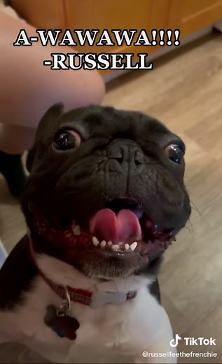 Russell Lee on TikTok